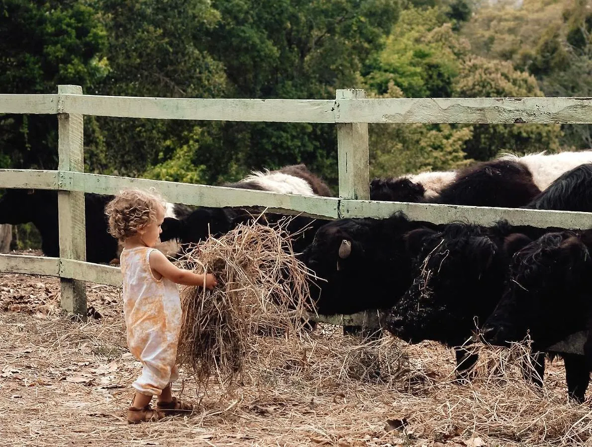 Rosecliffe Farm Cottages Pomona Australia