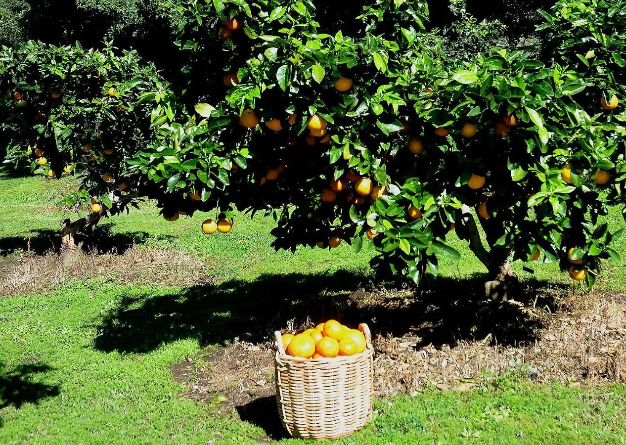 Rosecliffe Farm Cottages Pomona Australia