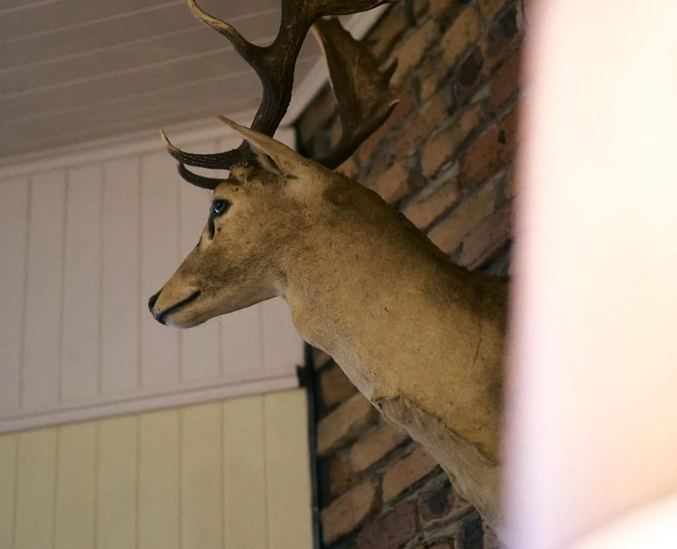 Rosecliffe Farm Cottages Pomona Farm stay